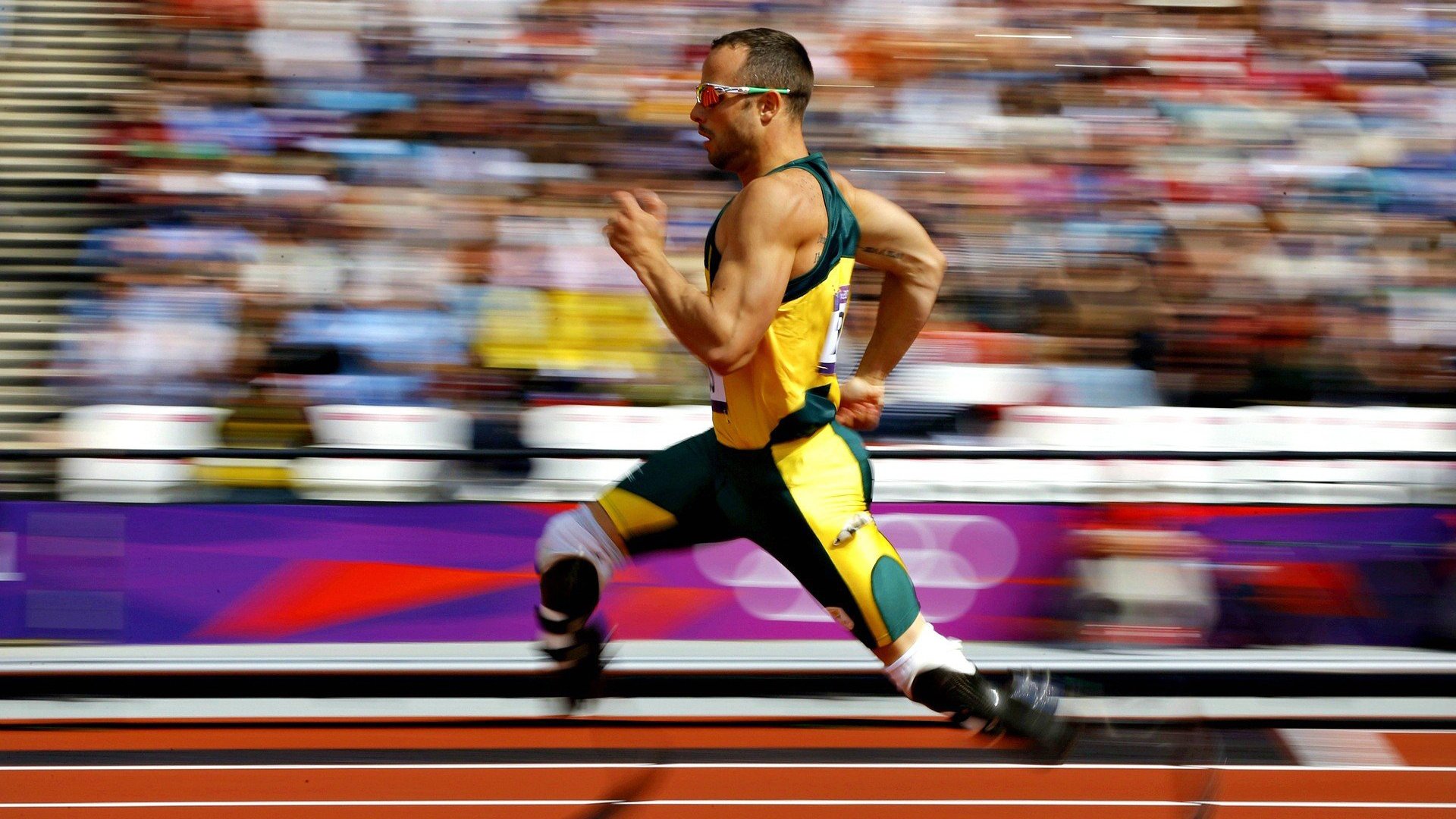 南北争锋,广东队淘汰赛力克深圳,总决赛舞台静候新王