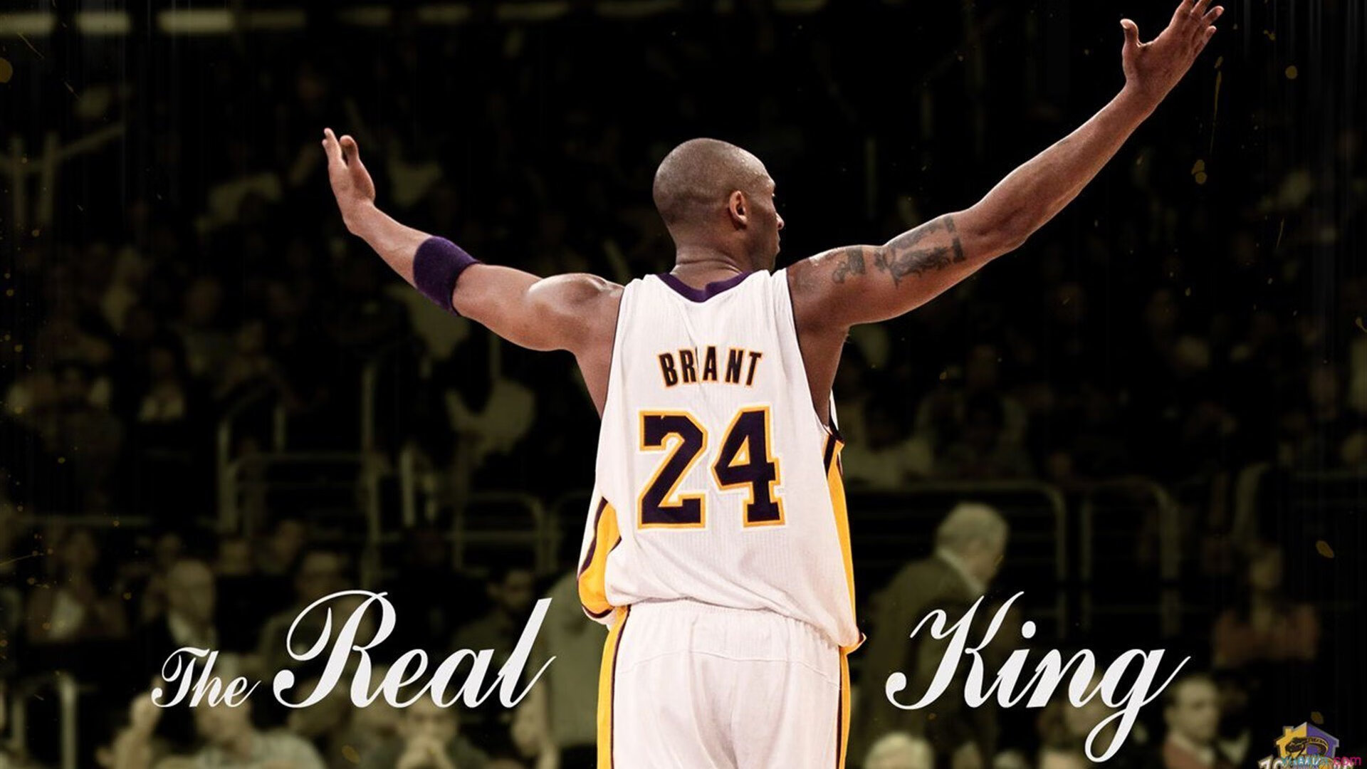 卡塞米罗攻防转换定乾坤，爱尔兰决胜局击碎克罗地亚黄金一代余晖